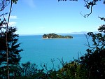 NewZealand10.jpg